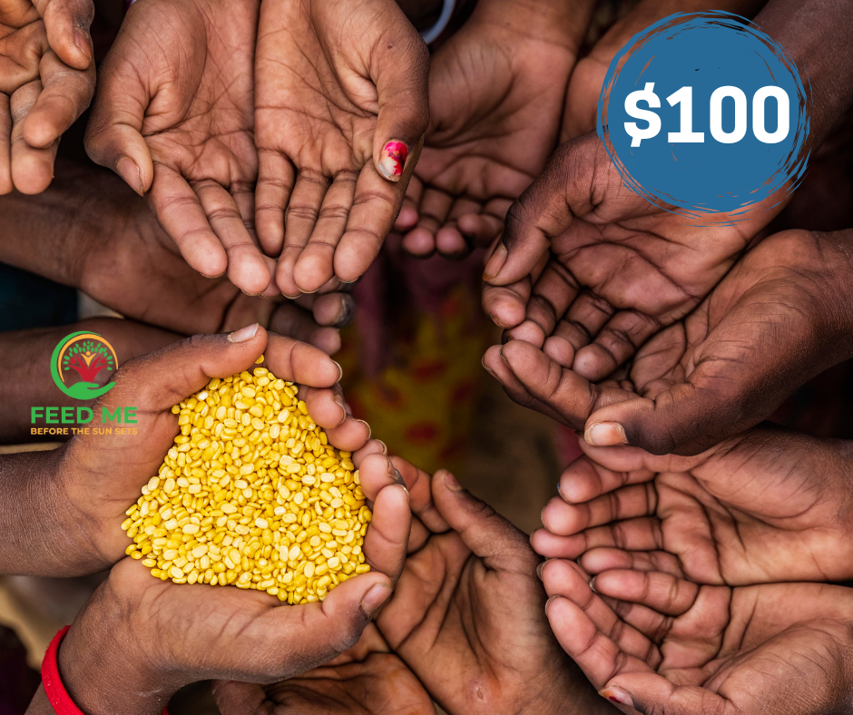 Feed a household for weeks $100